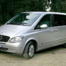 Mercedes Viano